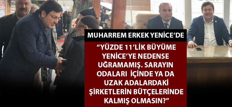 Muharrem Erkek: "Yüzde 11'lik büyüme nedense Yenice'ye uğramamış"