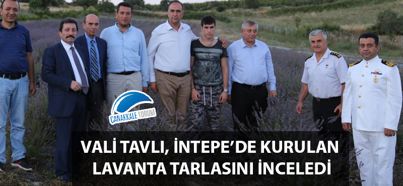 Vali Tavlı, İntepe'de kurulan lavanta tarlasını inceledi