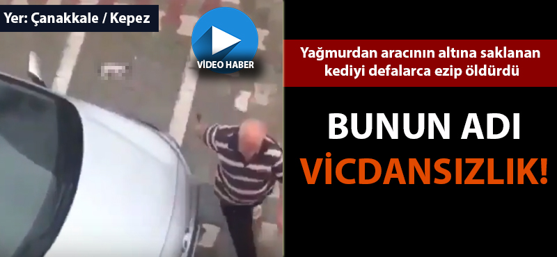 Kediye sinirlendi, otomobiliyle defalarca üzerinden geçip öldürdü!