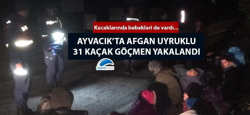 Ayvacık'ta Afgan uyruklu 31 kaçak göçmen yakalandı