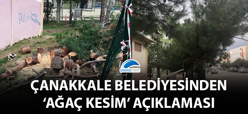 Çanakkale Belediyesinden 'ağaç kesim' açıklaması