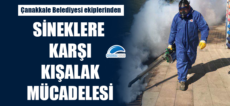 Belediye ekiplerinden sineklere karşı kışalak mücadelesi