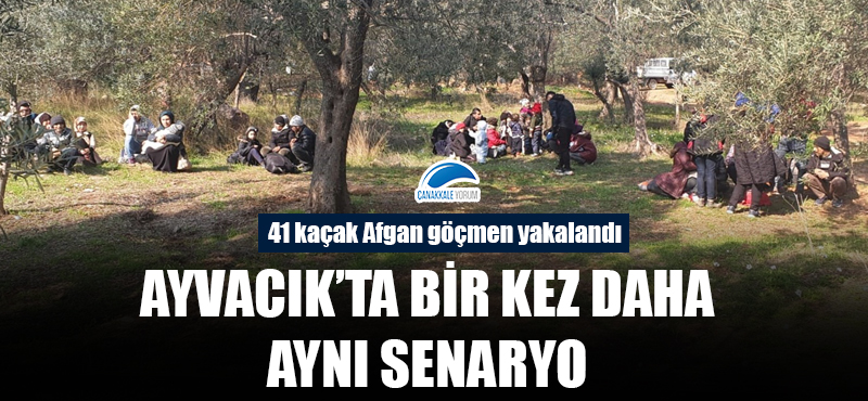 Ayvacık'ta bir kez daha aynı senaryo: 41 kaçak Afgan göçmen yakalandı!