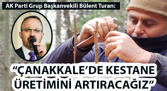 Bülent Turan: "Çanakkale'de kestane üretimini artıracağız"