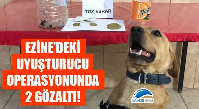 Ezine'deki uyuşturucu operasyonunda 2 gözaltı!