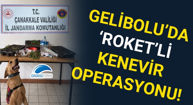 Gelibolu'da 'Roket'li kenevir operasyonu!