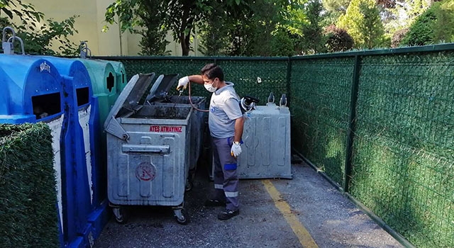 Karasineklerle mücadele çalışmaları sürüyor