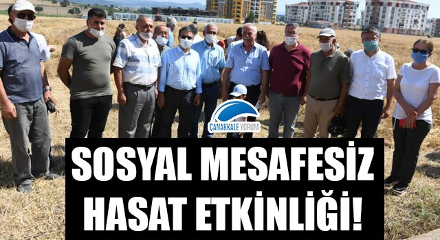 Sosyal mesafesiz hasat etkinliği!