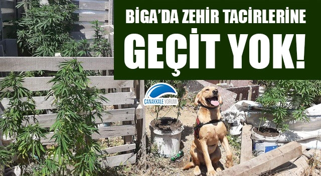 Biga'da zehir tacirlerine geçit yok!