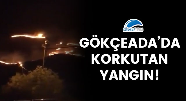 Gökçeada'da korkutan yangın!