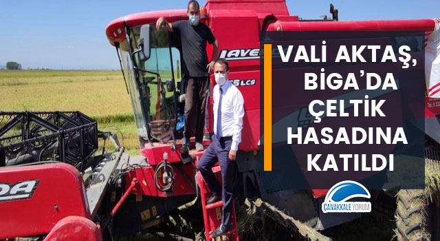 Vali Aktaş, Biga'da çeltik hasadına katıldı