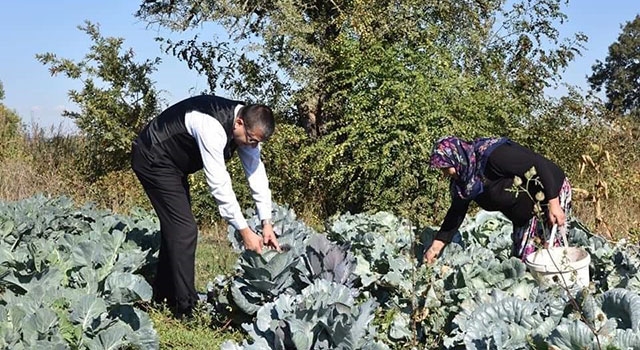 Başkan Öz, kadın çiftçilerle tarlada mahsul topladı