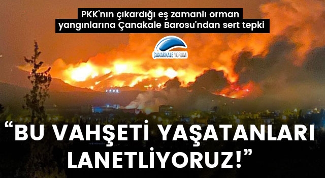 PKK'nın çıkardığı eş zamanlı orman yangınlarına Çanakkale Barosu'ndan sert tepki: "Bu vahşeti yaşatanları lanetliyoruz"