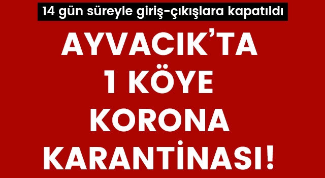 Ayvacık'ta 1 köye korona karantinası!