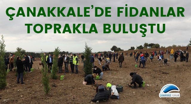 Çanakkale'de fidanlar toprakla buluştu