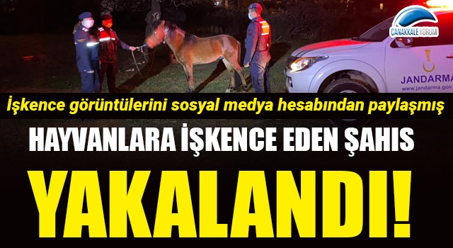 Küçükkuyu’da hayvanlara işkence eden şahıs yakalandı!