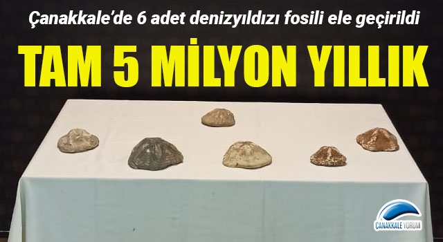 Çanakkale’de 5 milyon yıllık denizyıldızı fosilleri ele geçirildi!