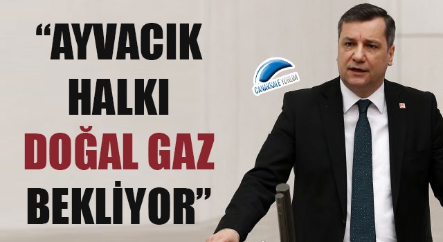 Özgür Ceylan: “Ayvacık halkı doğal gaz bekliyor”