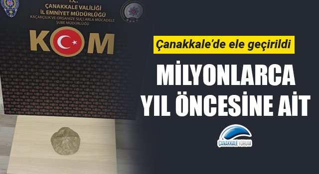 Çanakkale’de milyonlarca yıllık deniz yıldızı fosili ele geçirildi