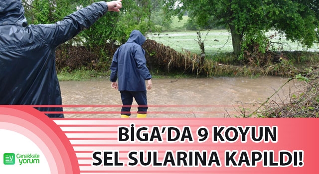 Biga'da 9 koyun sel sularına kapıldı!