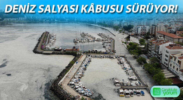 Çanakkale’de deniz salyası kâbusu sürüyor!