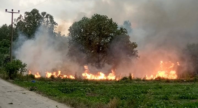 Çan’da fırtına ağaçları devirdi, enerji nakil hatları kopunca yangın çıktı!