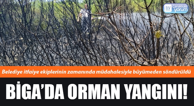 Biga’da orman yangını!