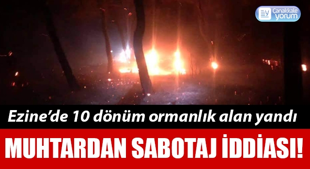 Ezine’de 10 dönüm orman yandı: Muhtardan sabotaj iddiası!