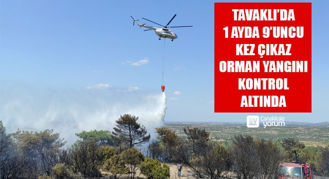 Tavaklı'da 1 ayda çıkan 9’uncu orman yangını kontrol altında