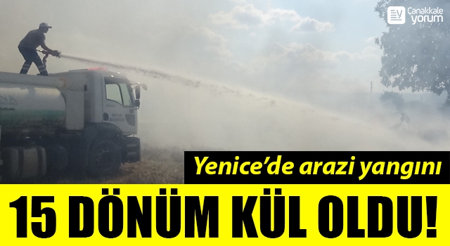 Yenice’de arazi yangını: 15 dönüm kül oldu!