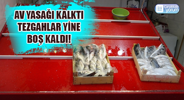 Denizlerde av yasağı kalktı, Çanakkale’de tezgahlar yine boş kaldı!