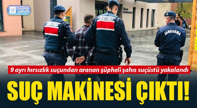 Suç makinesi hırsız yakalandı!