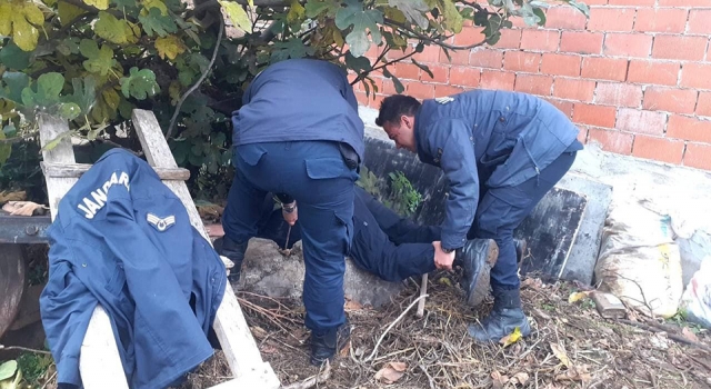 Kuyuya düşen köpeği jandarma kurtardı