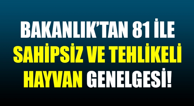 Bakanlık’tan 81 ile sahipsiz ve tehlikeli hayvan genelgesi!