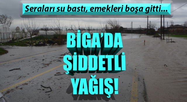 Biga’da şiddetli yağış: Seraları su bastı, emekleri heba oldu!