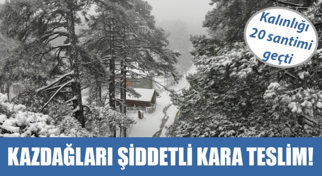 Kazdağları şiddetli kara teslim!