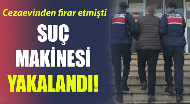 Cezaevi firarisi suç makinesi yakalandı!