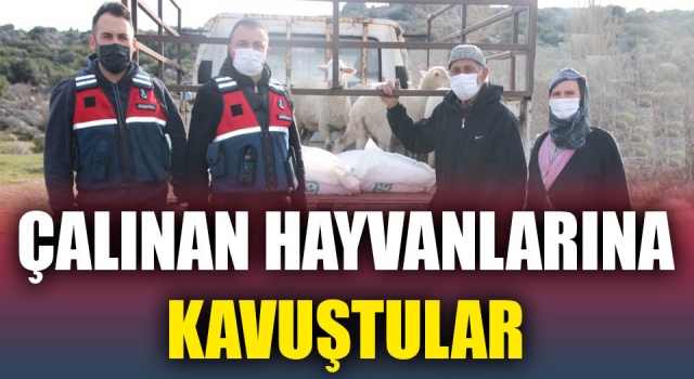 Çalınan hayvanlarına kavuştular