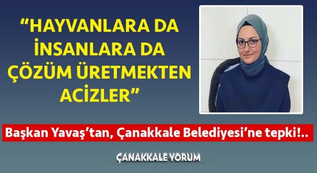 Başkan Yavaş’tan Çanakkale Belediyesi’ne tepki: “Hayvanlara da insanlara da çözüm üretmekten acizler”