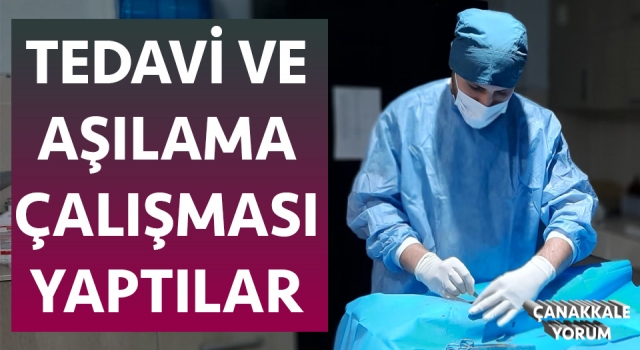 Hayvan Refahı ve Popülasyon Kontrolü Projesi tamamlandı