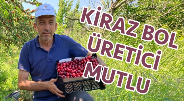 Lapseki kirazı üreticisinin yüzünü güldürdü