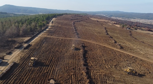 Çanakkale’de küle dönen 580 hektar alanda, 1 milyon fidan toprakla buluşturuluyor