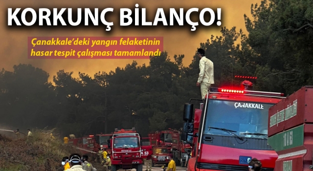 Çanakkale’deki yangın felaketinde korkunç bilanço!