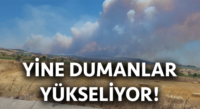 Çanakkale’deki yangında korkutan gelişme: Kemel köyünde alevler yükseliyor!