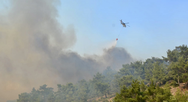 Çanakkale’deki büyük yangının çıkış sebebi elektrik direği mi?