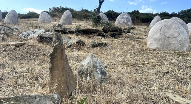 Çanakkale şehitleriyle ilgili yeni bulgular: Toplam şehit sayısı, resmi kayıtlardakilerden fazla olabilir