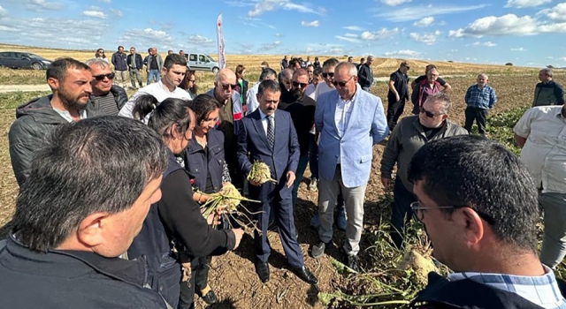 Çanakkale’de şeker pancarı hasadı başladı