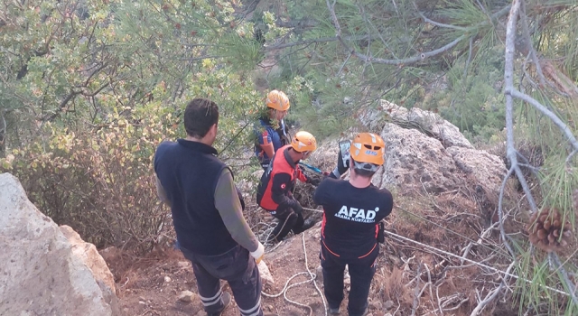 Mahsur kalan keçilerin imdadına AFAD yetişti – Çanakkale Yorum