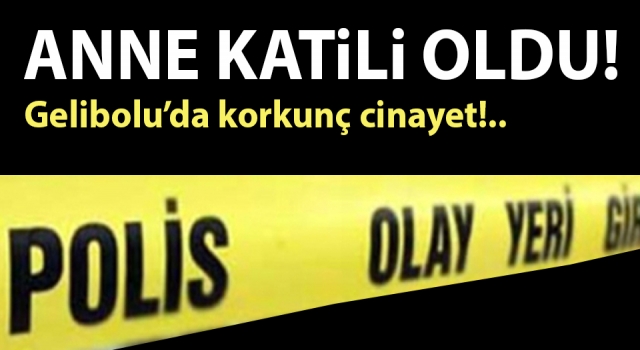 Gelibolu’da korkunç cinayet: Üniversite öğrencisi, annesini öldürdü!