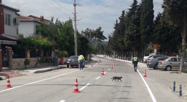 Yatay trafik işaretleme uygulamaları sürüyor – Çanakkale Yorum